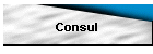 Consul