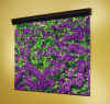 Silhouette M front projection screen.
