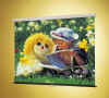 Star front projection screen.