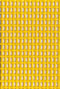 Yellow Mesh Gym Divider Curtains